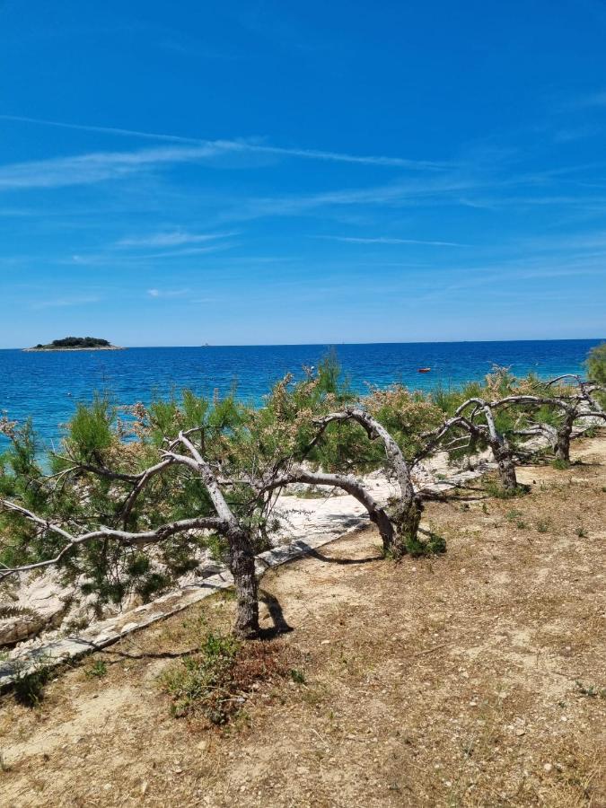 Sea View Apartment Rogoznica  Dış mekan fotoğraf